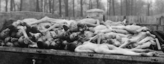 Corpses at Buchenwald